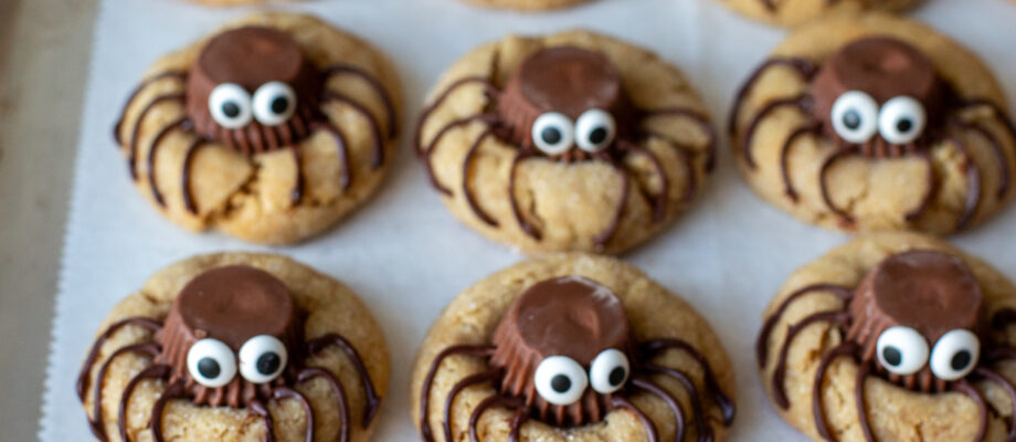 Sourdough Spider Peanut Butter Cookies